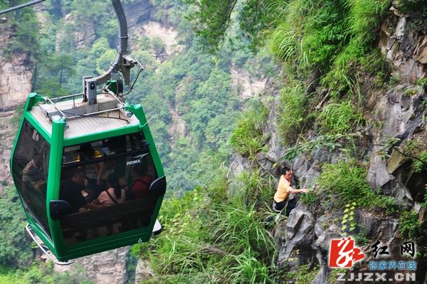 張家界景區(qū)保潔員撿垃圾由北京保潔公司整理